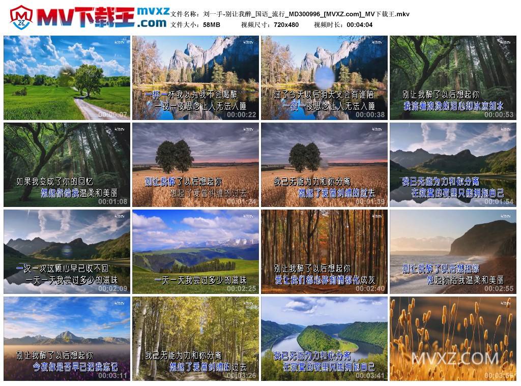 刘一手-别让我醉_国语_流行_MD300996